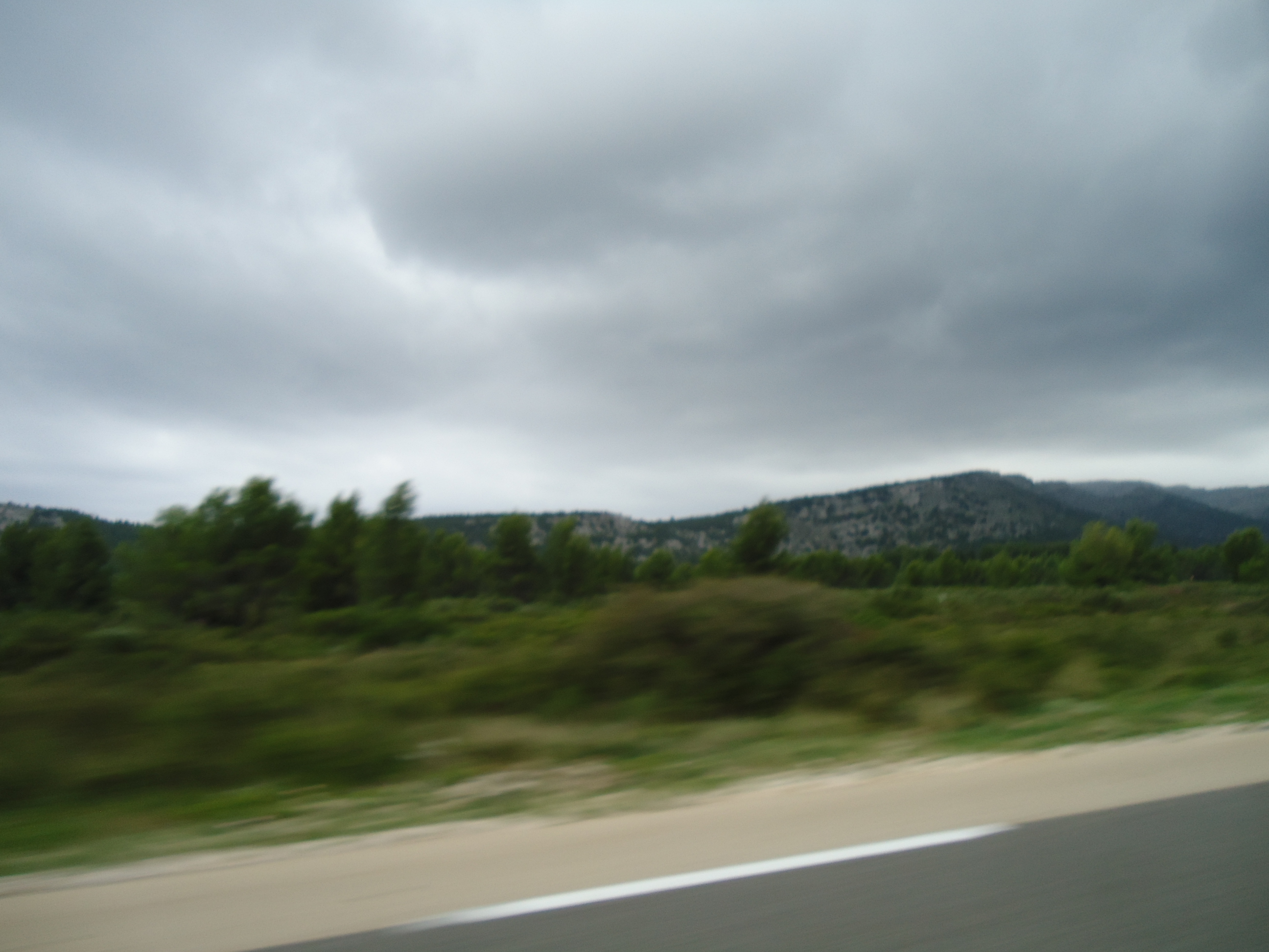 DSC03603