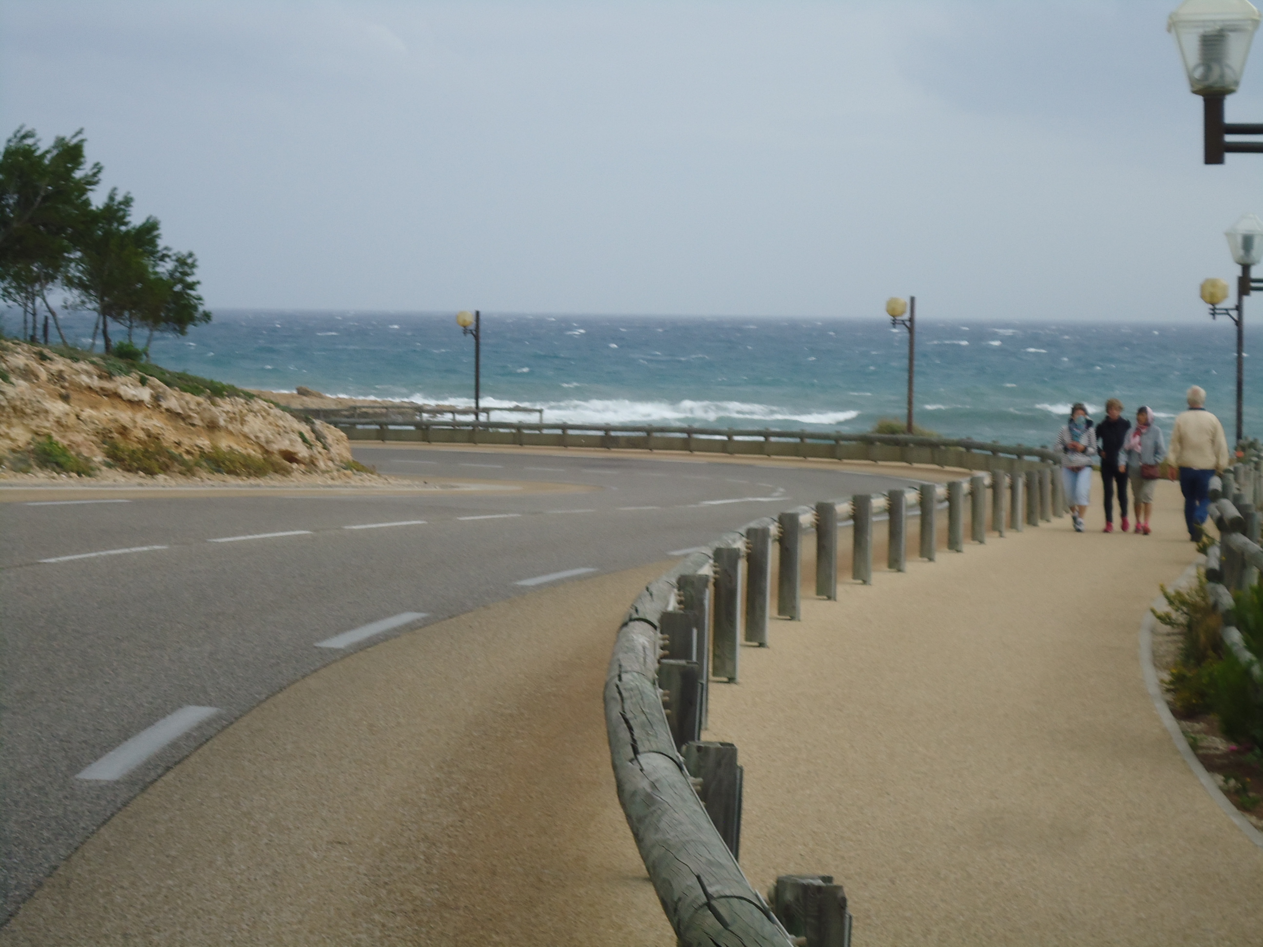 DSC03605